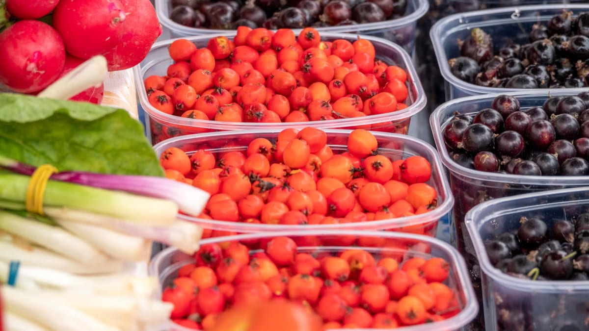  Les secrets des marchés de producteurs en Camargue