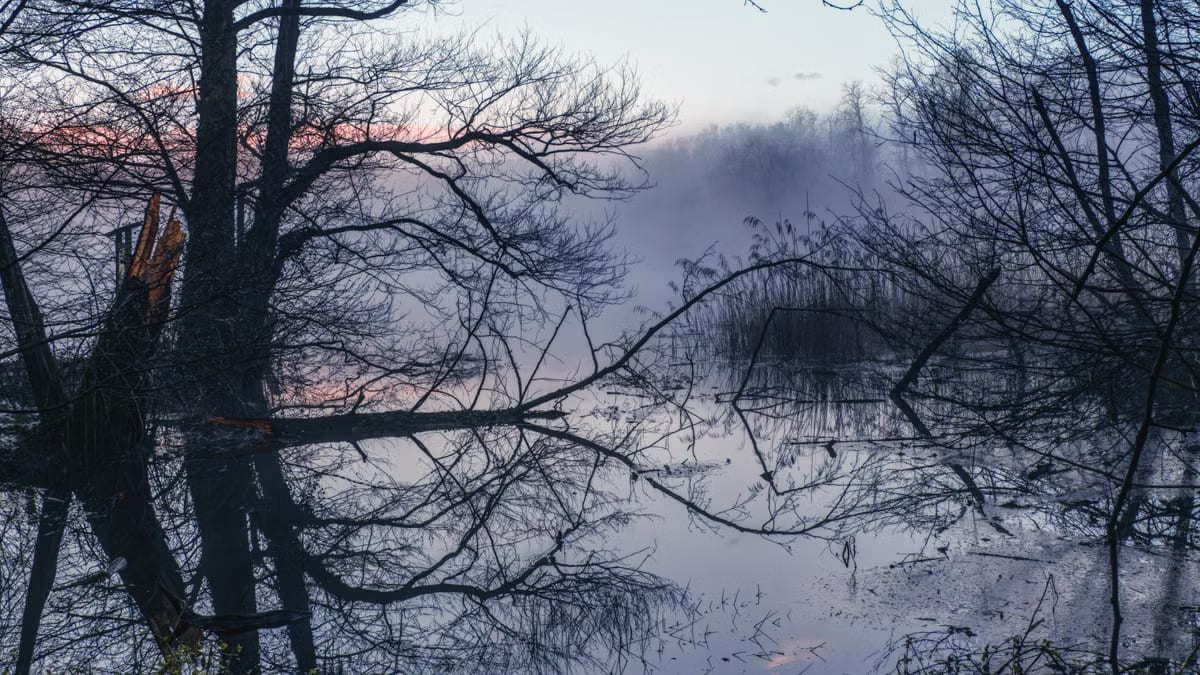  Photographier la faune nocturne en Camargue : guide complet