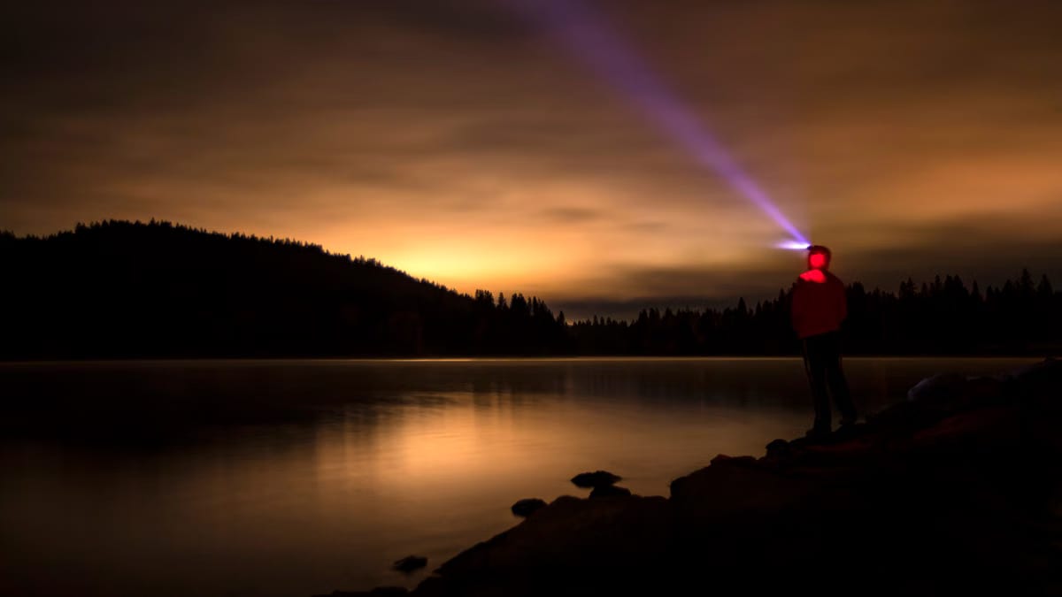  Observer la faune nocturne en Cévennes : bonnes pratiques