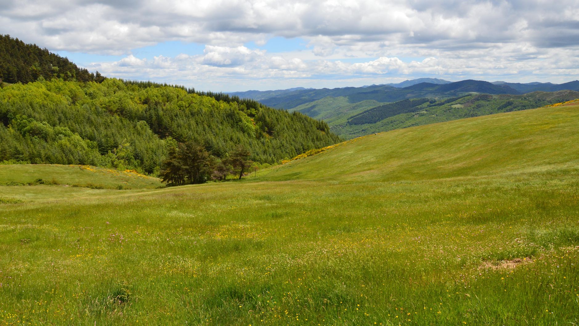  Préparer un vrai séjour dans les Cévennes quand on n’y connaît rien