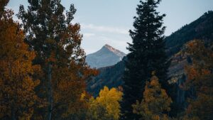 Randonnée photographique Pic Saint-Loup : capturer l’automne