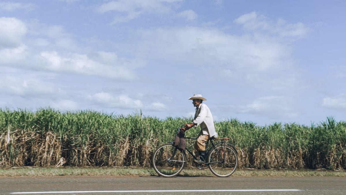  Séjour gastronomique à vélo en Camargue : itinéraire producteurs