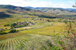  Un week-end dans l’Hérault, entre Méditerranée et vignobles